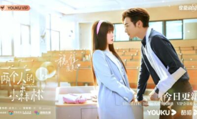 A Romance of The Little Forest - Sinopsis, Pemain, OST, Episode, Review