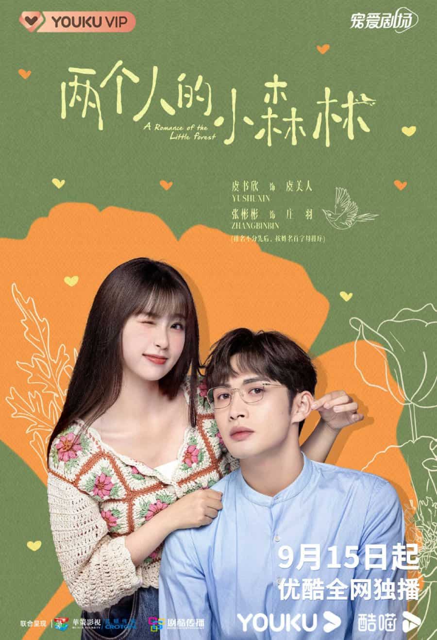 A Romance of The Little Forest - Sinopsis, Pemain, OST, Episode, Review