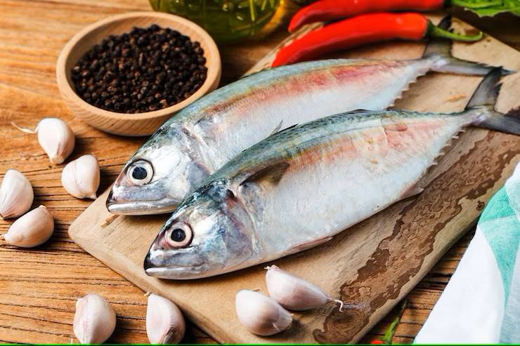 11 Fakta Ikan Kembung, Tinggi akan Kandungan Omega 3