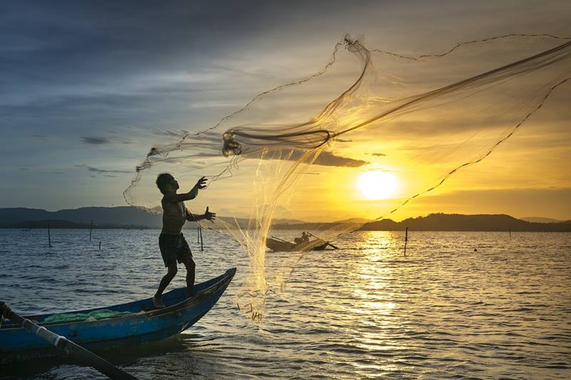 11 Fakta Ikan Kembung, Tinggi akan Kandungan Omega 3