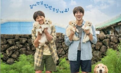 My Heart Puppy - Sinopsis, Pemain, OST, Review