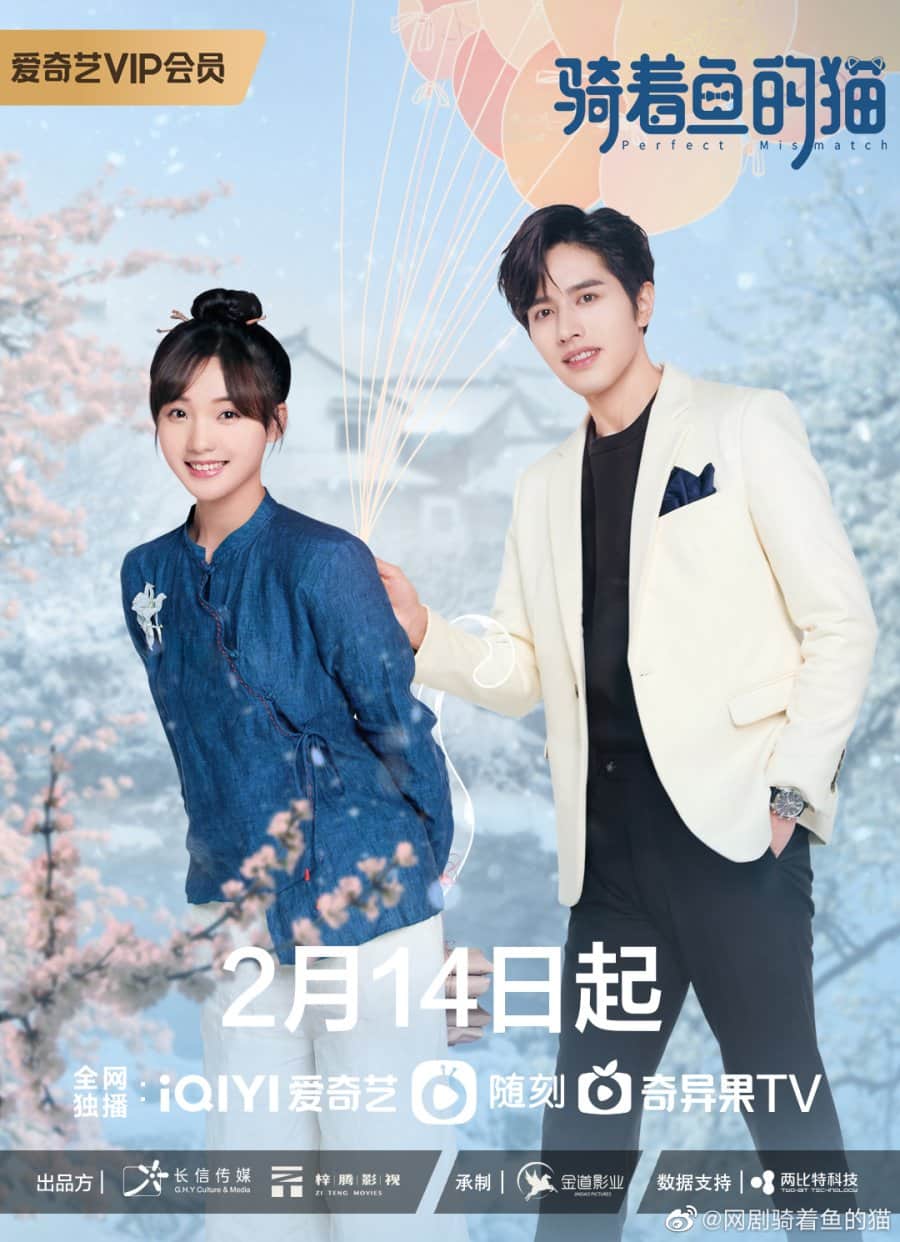 Perfect Missmatch - Sinopsis, Pemain, OST, Episode, Review