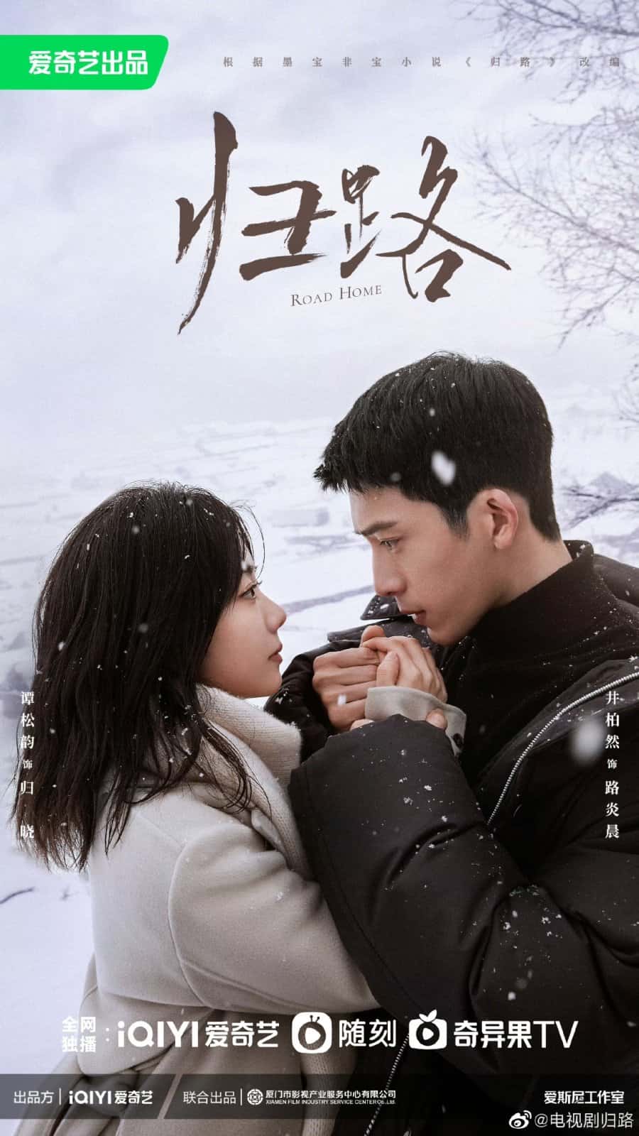 Road Home - Sinopsis, Pemain, OST, Episode, Review
