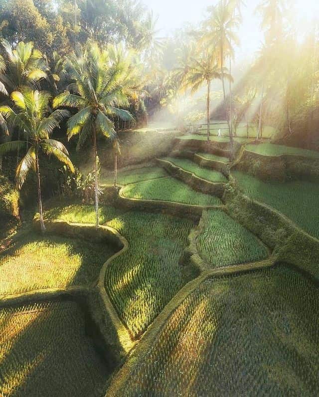 Ini Dia 22 Tempat Wisata di Bali yang Harus Kamu Kunjungi