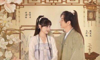 I Have a Smart Doctor Wife S1 - Sinopsis, Pemain, OST, Episode, Review