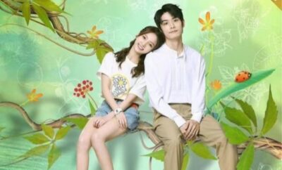 Not The Same Mr. Xiao - Sinopsis, Pemain, OST, Episode, Review