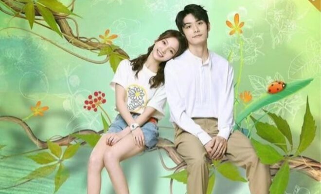 Not The Same Mr. Xiao - Sinopsis, Pemain, OST, Episode, Review