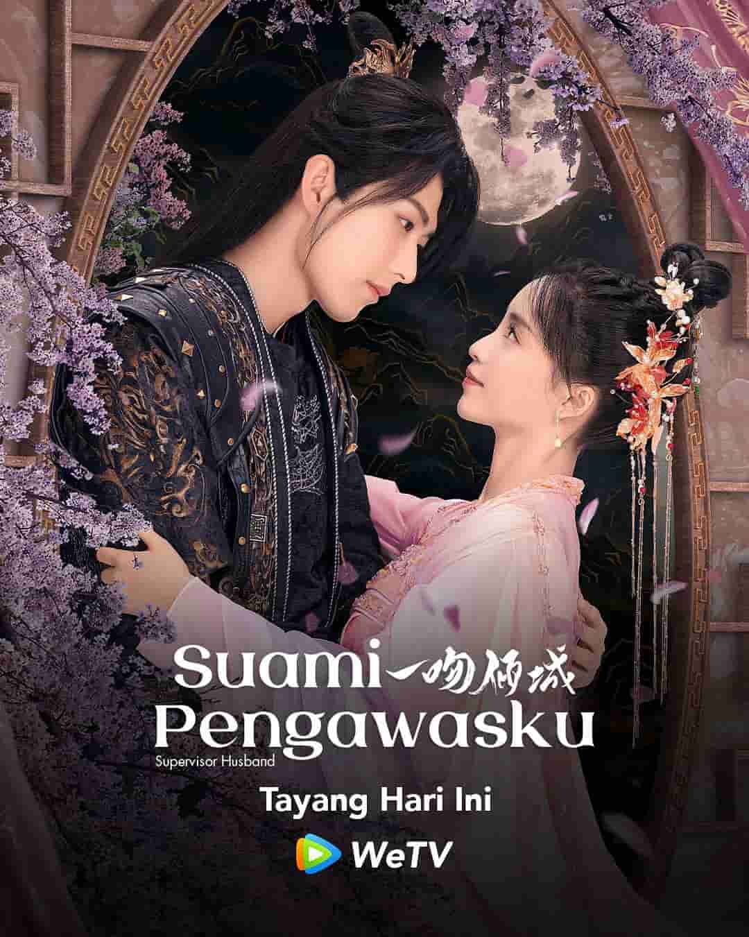 Supervisor Husband - Sinopsis, Pemain, OST, Episode, Review