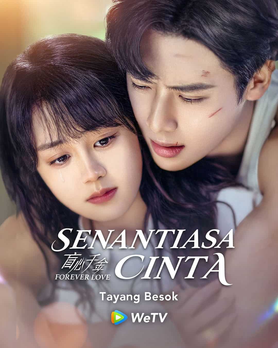Forever Love - Sinopsis, Pemain, OST, Episode, Review