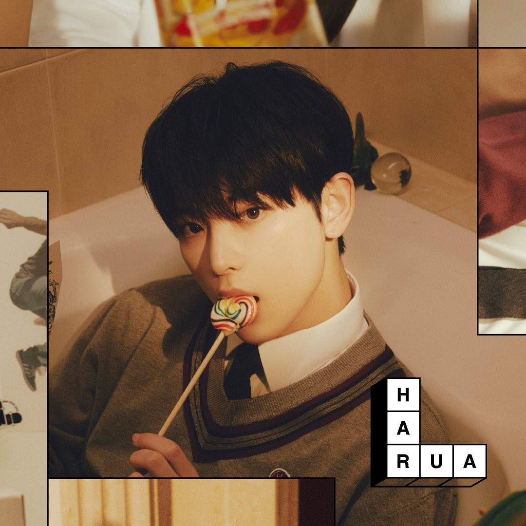 Harua - Biodata, Profil, Fakta, Member, Ulang Tahun