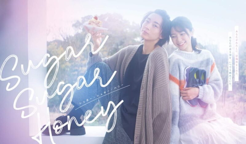 Sugar Sugar Honey - Sinopsis, Pemain, OST, Episode, Review