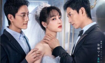 The Perfect Husband in the Mirror - Sinopsis, Pemain, OST, Episode, Review