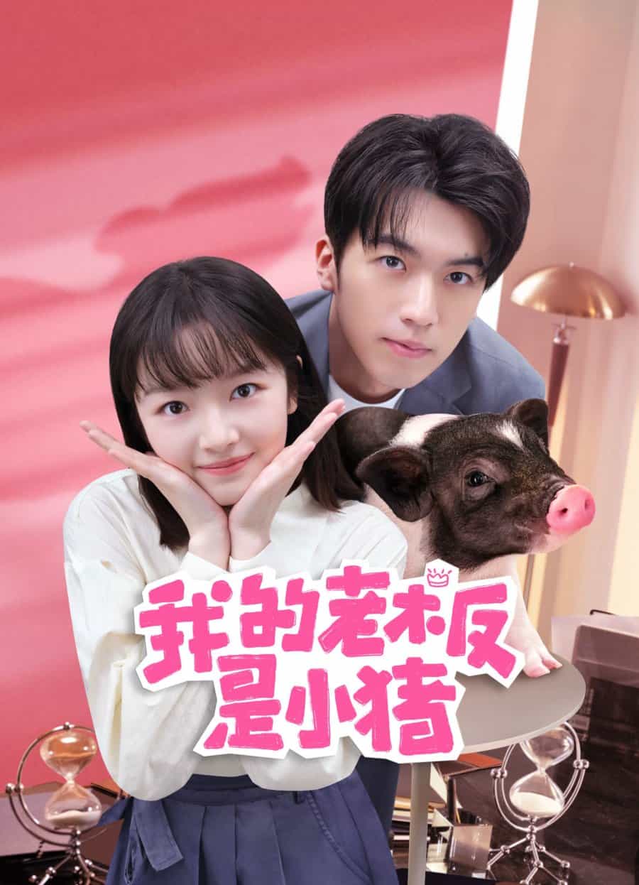 My Piggy Boss - Sinopsis, Pemain, OST, Episode, Review