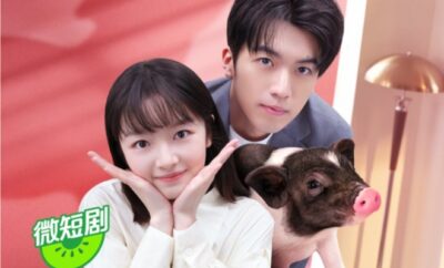 My Piggy Boss - Sinopsis, Pemain, OST, Episode, Review
