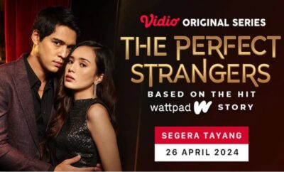 The Perfect Stranger - Sinopsis, Pemain, OST, Episode, Review