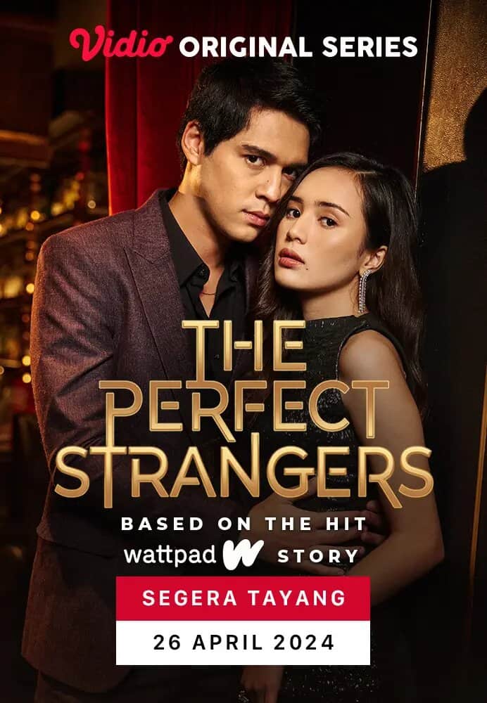 The Perfect Stranger - Sinopsis, Pemain, OST, Episode, Review
