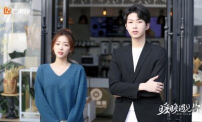 Warm Meet You - Sinopsis, Pemain, OST, Episode, Review